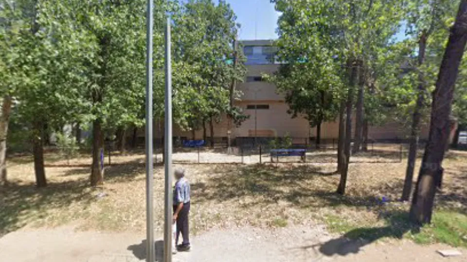 Parc pentru câini — fotografie de copertă