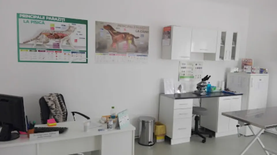 Vetconsult - cabinet veterinar, toaletaj canin și felin — fotografie de copertă