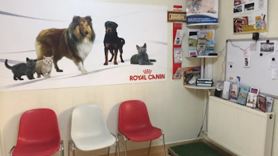 Helpvet — fotografie de copertă