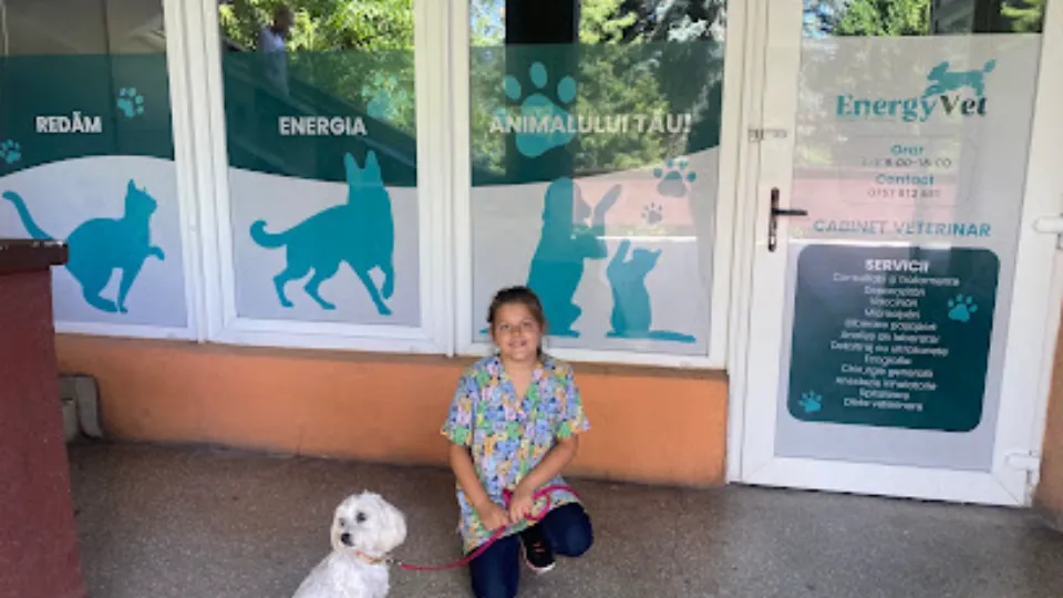 Energy Vet — fotografie de copertă