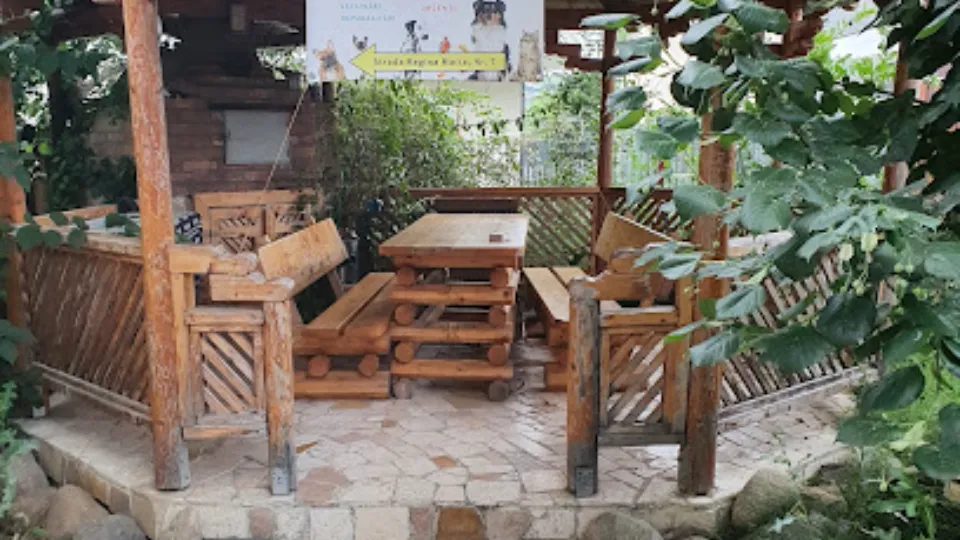 Tashi Vet — fotografie de copertă