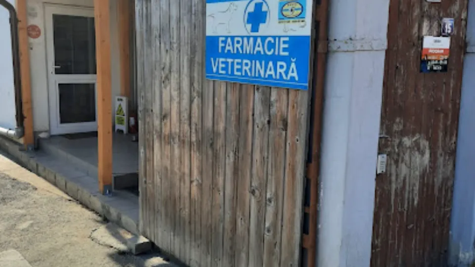 Fotografia de copertă a listării