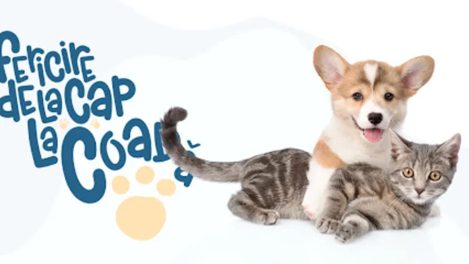 PetGuru — fotografie de copertă
