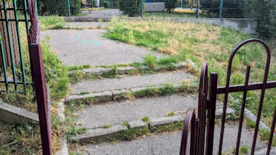 Spațiu pentru câini — fotografie de copertă