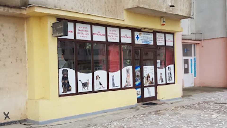 Black Gamedog — fotografie de copertă