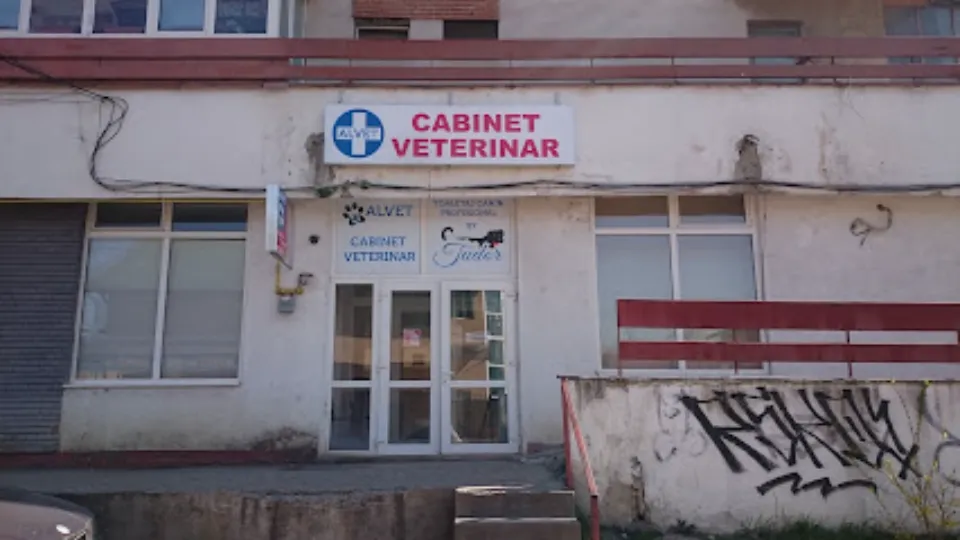 Alvet Dunarii 22 — fotografie de copertă