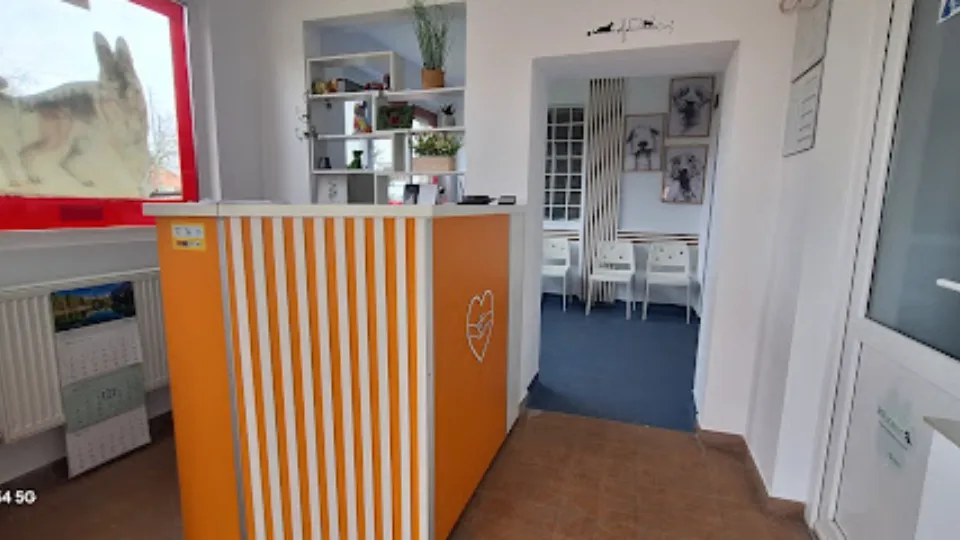 Cabinet veterinar Sanmartin — fotografie de copertă
