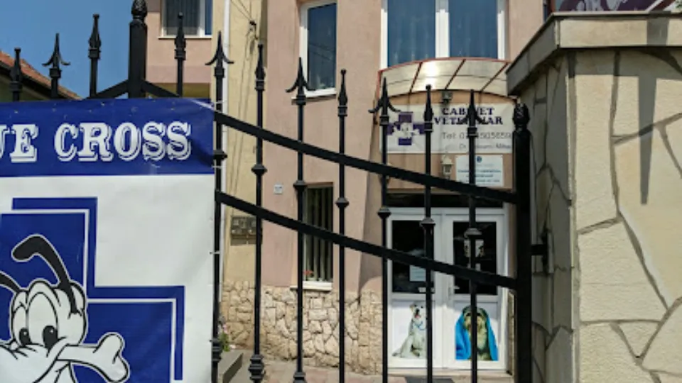 Blue Cross Vet — fotografie de copertă