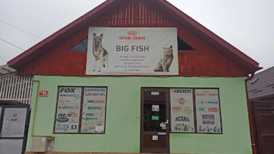 Big Fish / Carpexperience — fotografie de copertă