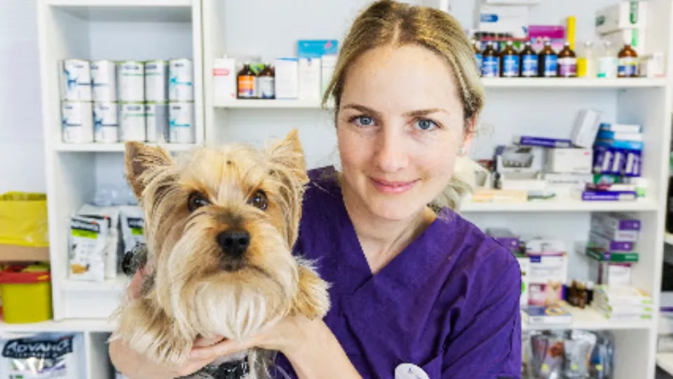 Petlove — fotografie de copertă