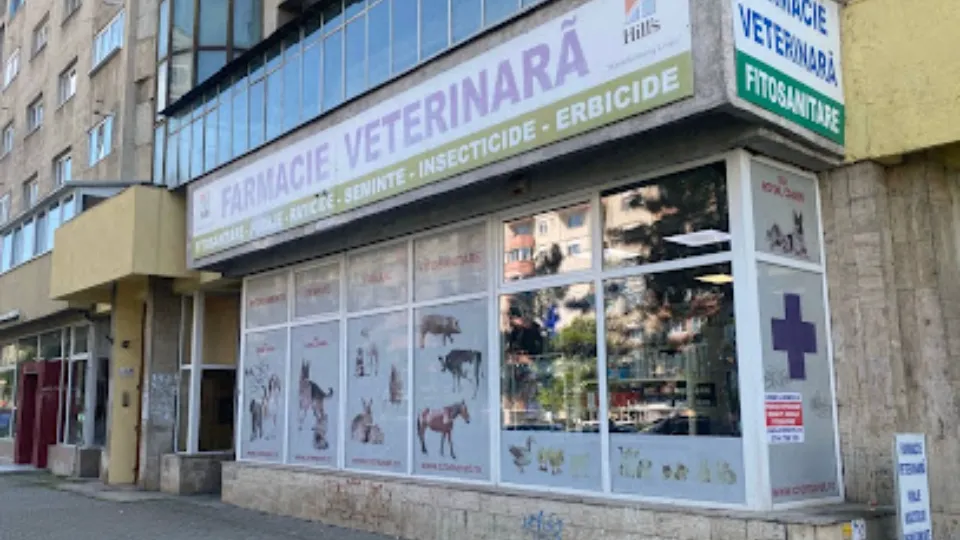 Fotografia de copertă a listării