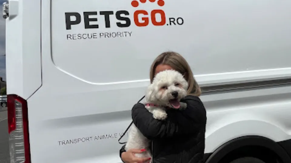 PetsGo — fotografie de copertă