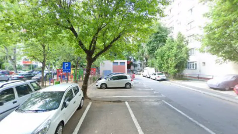 Parc mic caini — fotografie de copertă