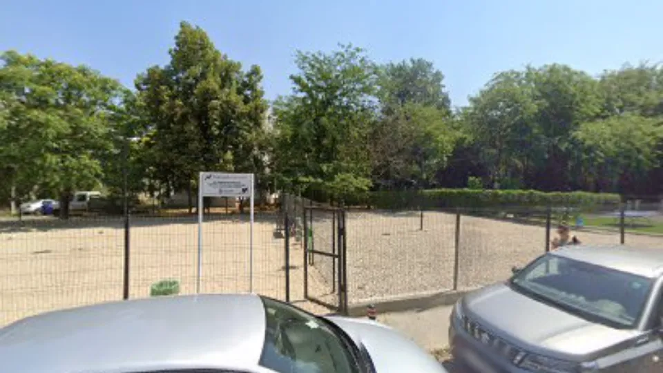 Dog park — fotografie de copertă