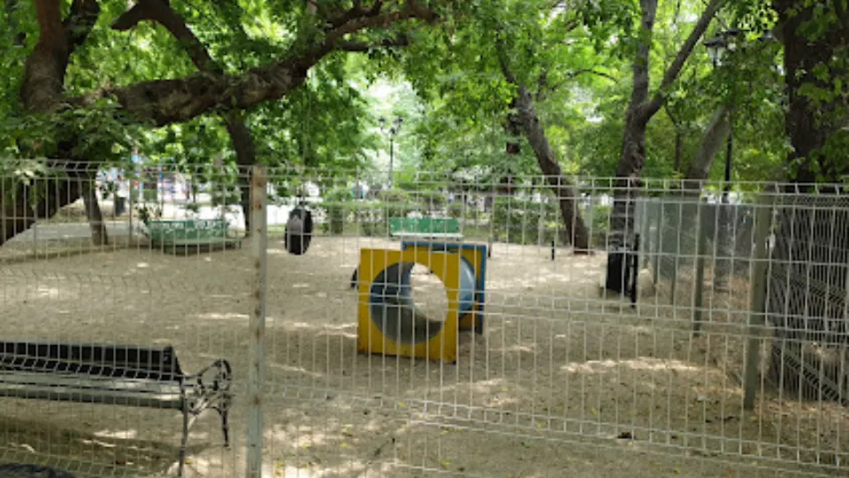 Dog park — fotografie de copertă