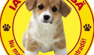 Adapost Animale Fara Stapan — Adăposturi Animale, Călărași