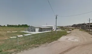 Adăpost pentru câini — Adăposturi Animale, Roman, Neamț