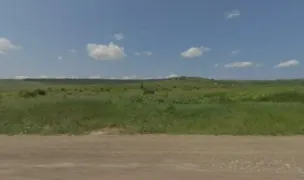 adăpost Ștefănel — Adăposturi Animale, Iași