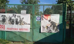 APPA Prietenii nostrii — Adăposturi Animale, Slatina, Olt