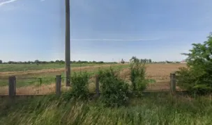 Asociatia Cheiron — Adăposturi Animale, Teleorman