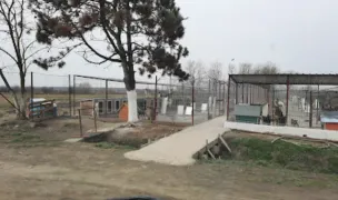 Fotografia de copertă a listării