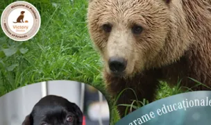 Fotografia de copertă a listării