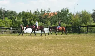 Asociatia Poveste cu Cai — Adăposturi Animale, Giurgiu