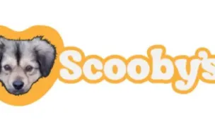 Asociatia Scooby's — Adăposturi Animale, Iași
