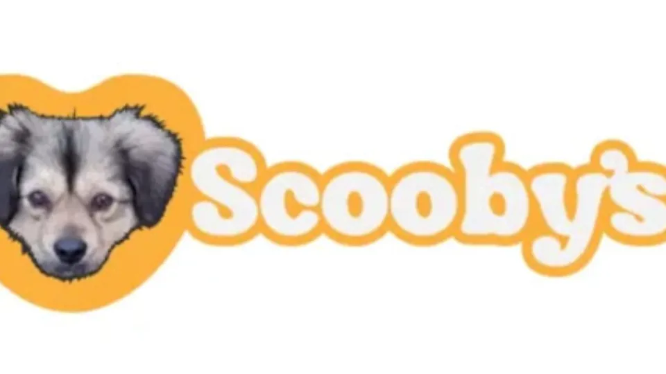 Asociatia Scooby's — fotografie de copertă