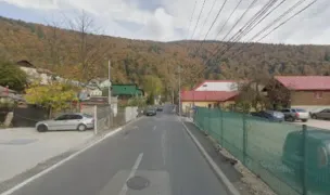 Asociația URSUL FĂRĂ FRONTIERE — Cazare Animale, Prahova