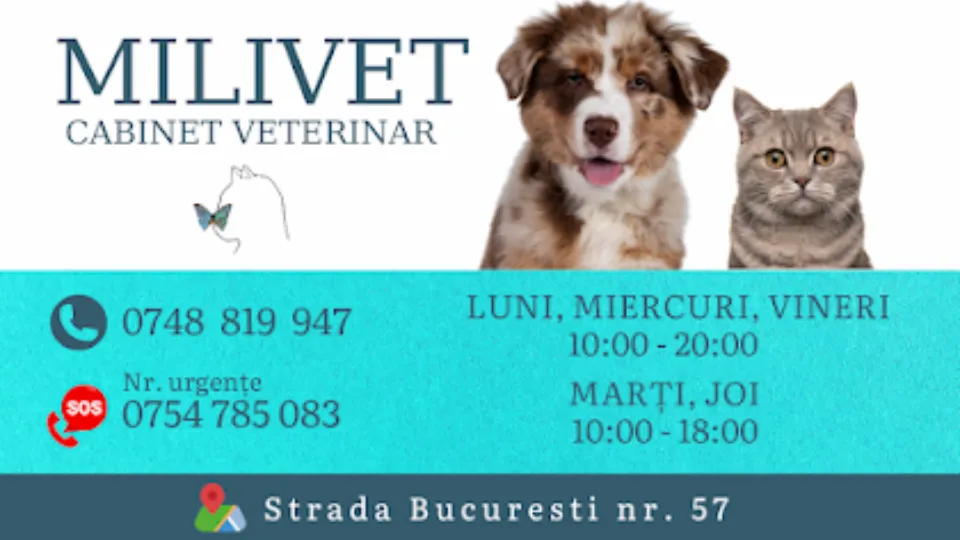 Fotografia de copertă a listării