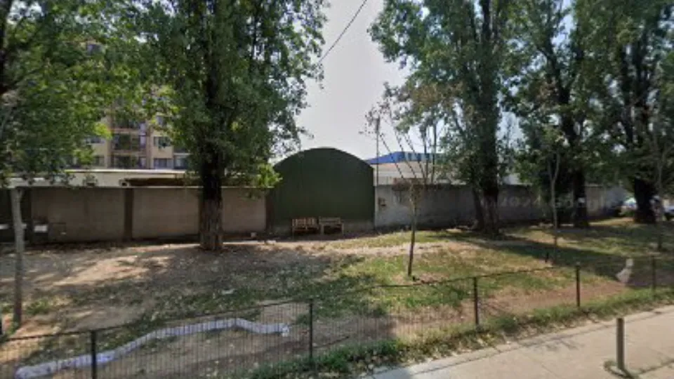 Dog park — fotografie de copertă