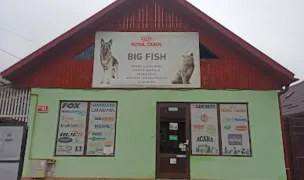 Big Fish / Carpexperience — Pet Shop, Baia Mare, Maramureș