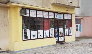 Black Gamedog — Urgențe Veterinare, Slobozia, Ialomița