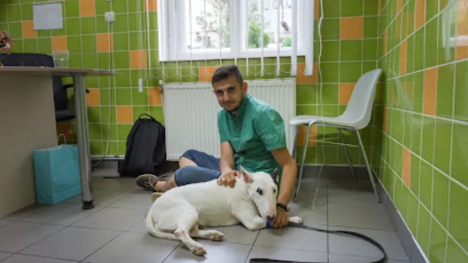 Fotografia de copertă a listării