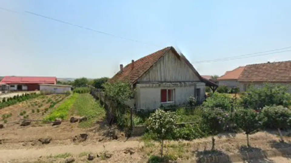 Adapost pentru animale — fotografie de copertă