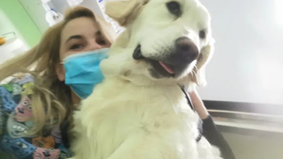 Vet for Pet — fotografie de copertă