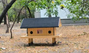 Căsuța pentru pisici — Crescători Pisici, Sectorul 6, București