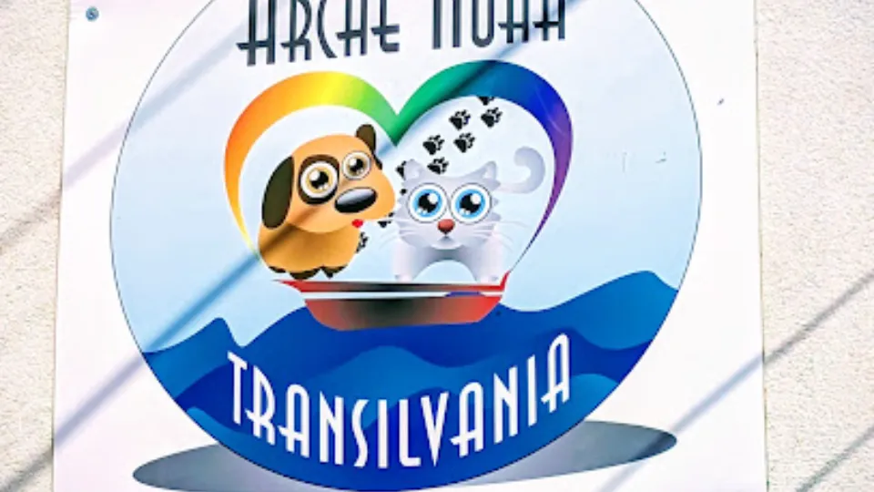 Arche Noah Transilvania — fotografie de copertă