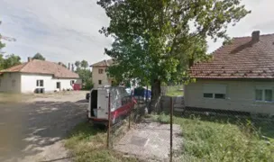 centru de colectare animale de companie asociatia LOVE — Adăposturi Animale, Pecica, Arad