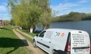 DDD Muntenia — Pet-Friendly Beaches, Bucharest