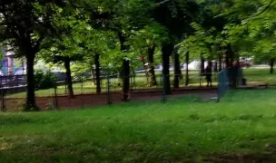 Dog park — Pet-Friendly Beaches, Bucharest