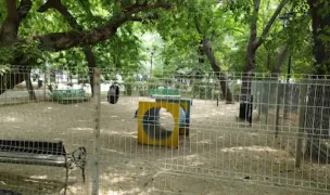 Dog park — Dog Parks, Sector 2, Bucharest