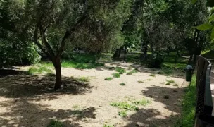 Dog park — Dog Parks, Sector 5, Bucharest