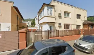 DresorCanin — Crescători Pisici, Sectorul 1, București