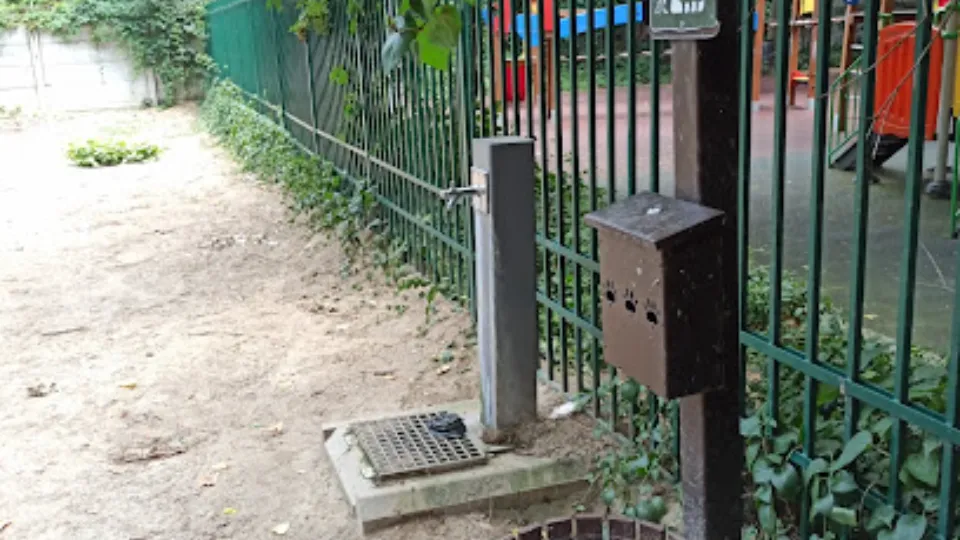 Parc câini — fotografie de copertă