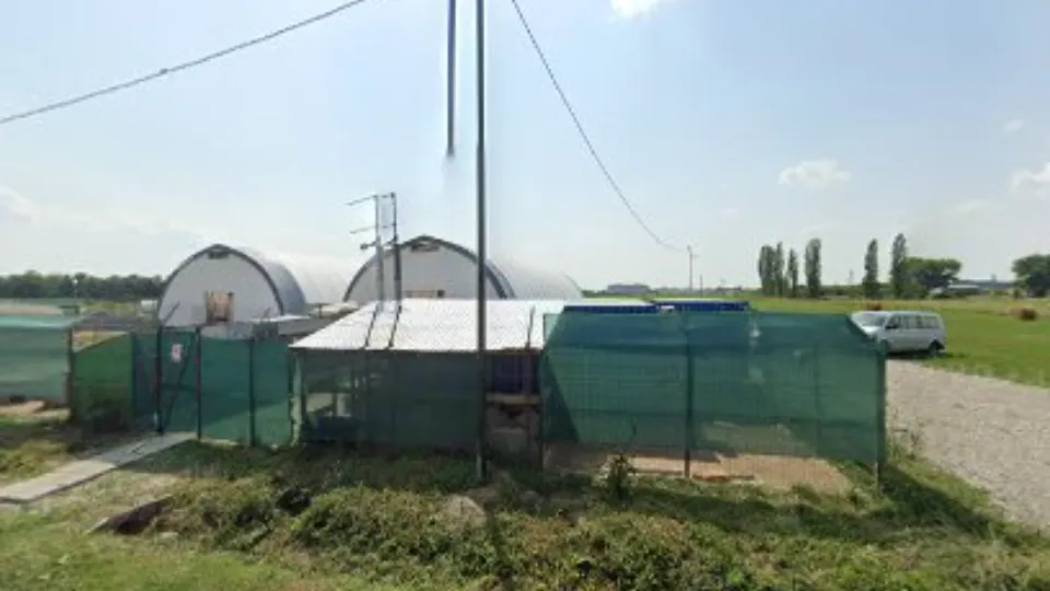 Gut Aiderbichl Rumänien — fotografie de copertă
