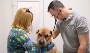 Exclusive Veterinary Clinic Vets Sibiu — Cabinete Veterinare, Municipiul Sibiu, Sibiu