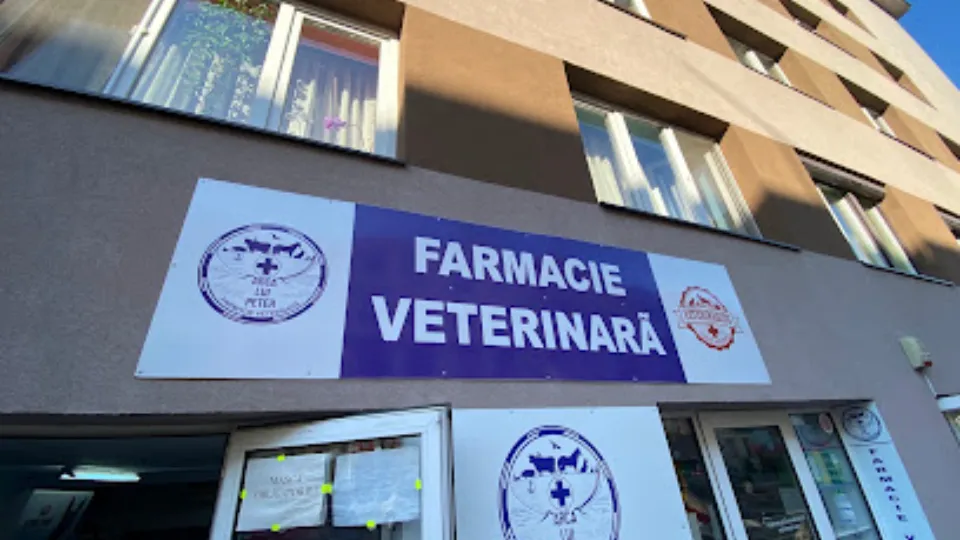 Fotografia de copertă a listării