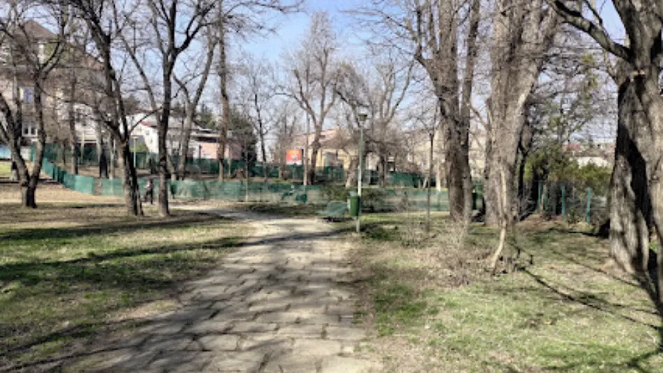 Dog park — fotografie de copertă